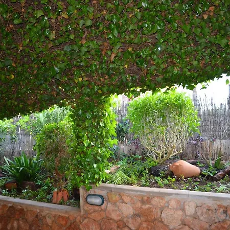 Vakantiehuis Casa Piedra Mallorca El Toro (Mallorca)